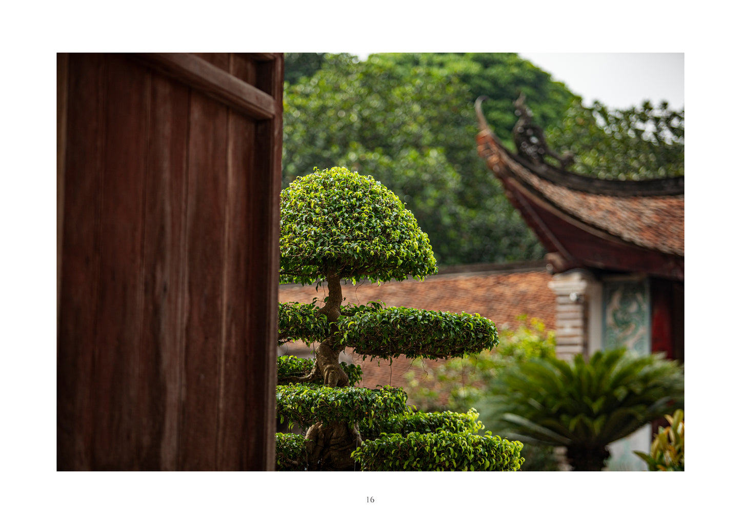 Ancient Vietnam Photographic Collection Volume I